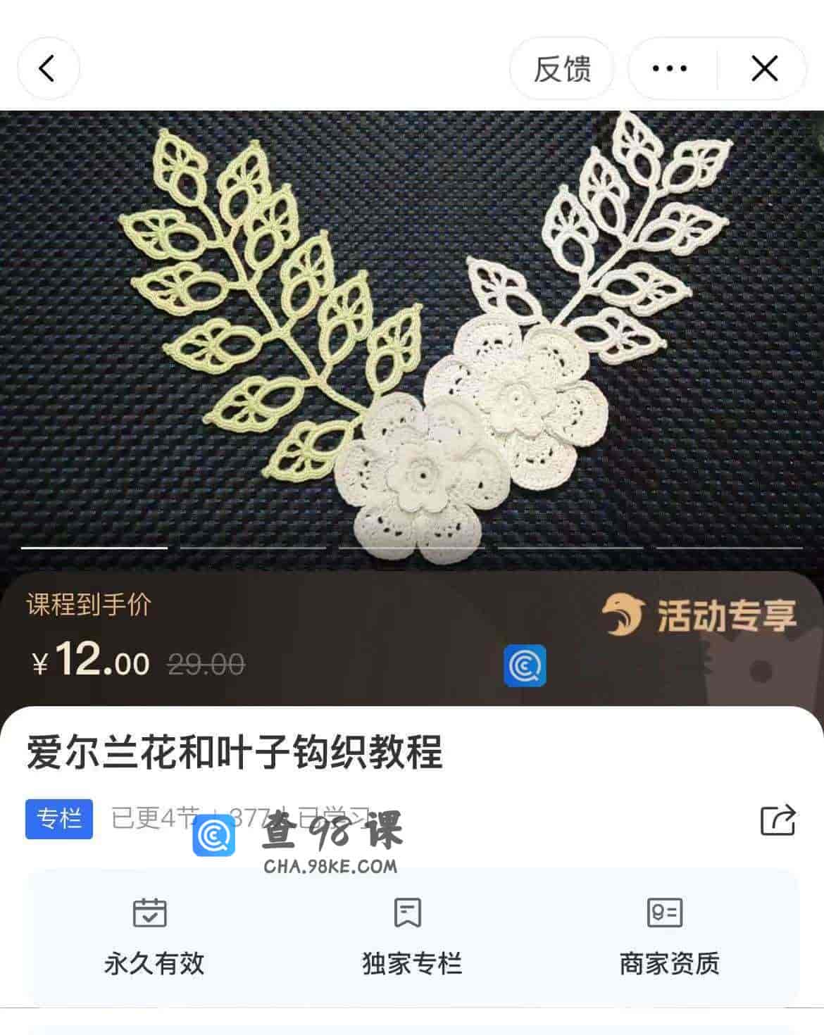 11170  爱尔兰花和叶子钩织教程