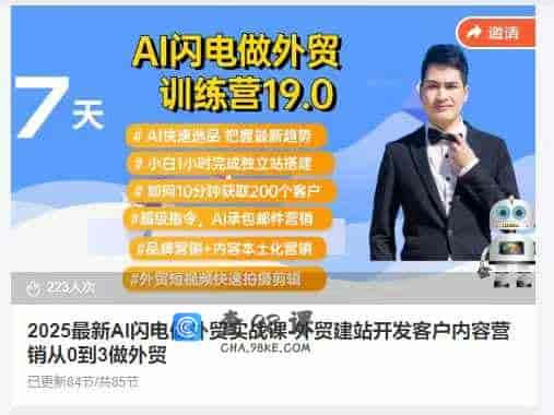 2025最新AI闪电做外贸实战课-外贸建站开发客户内容营销从0到3做外贸