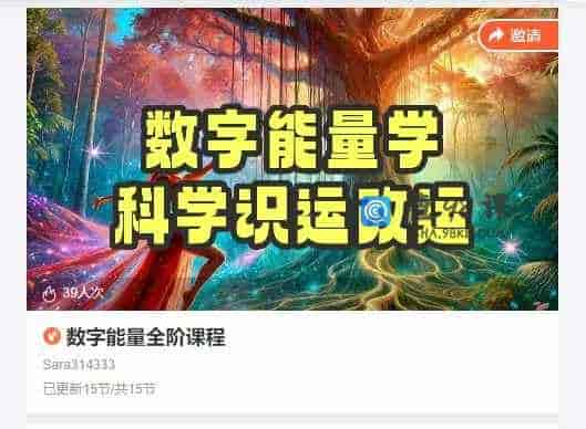 数字能量全阶课程