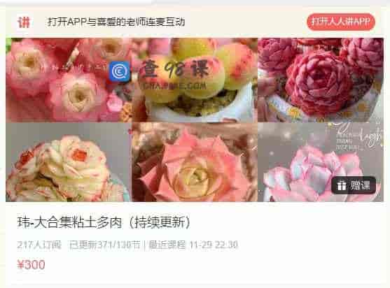玮-大合集粘土多肉（持续更新） 371 节
