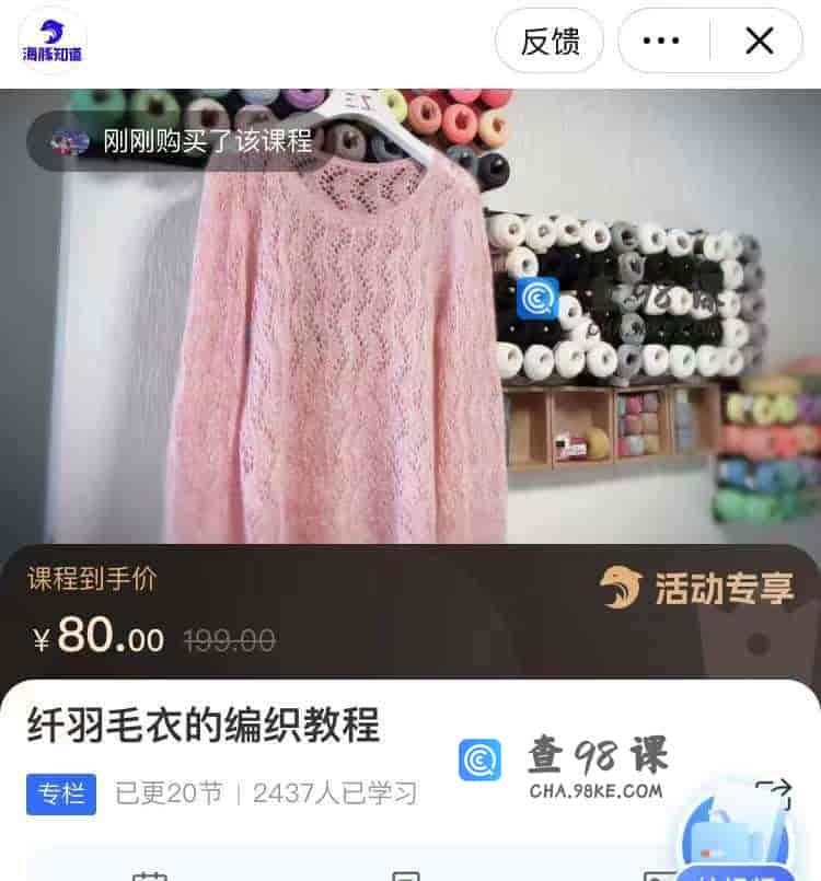 10939  纤羽毛衣的编织教程