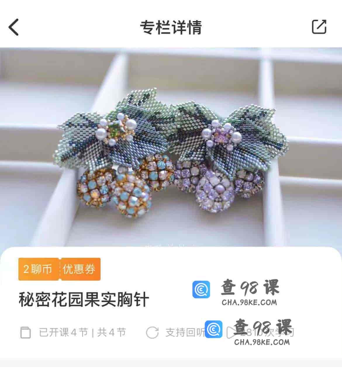11181  秘密花园果实胸针