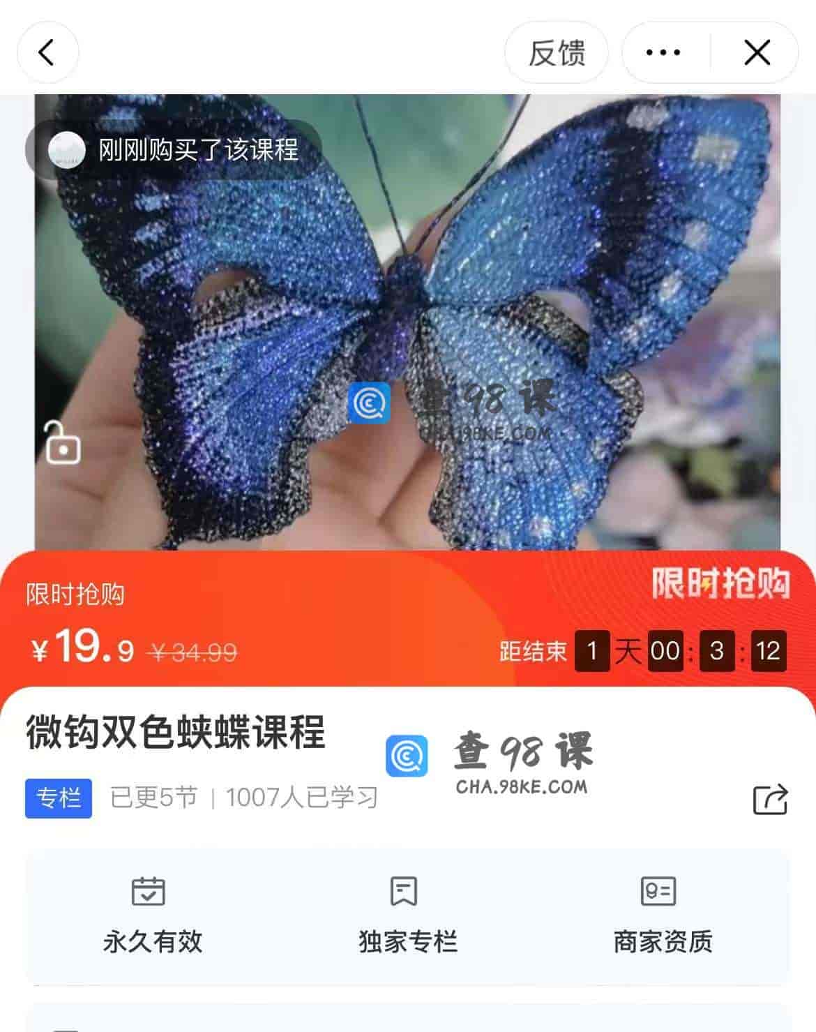 11161  微钩双色蛱蝶课程