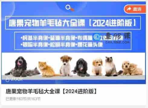 唐果宠物羊毛毡大全课【2024进阶版】