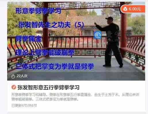 张发智形意五行拳劈拳学习