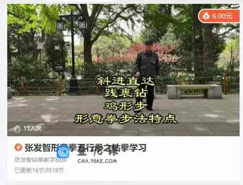 张发智形意拳五行拳之钻拳学习