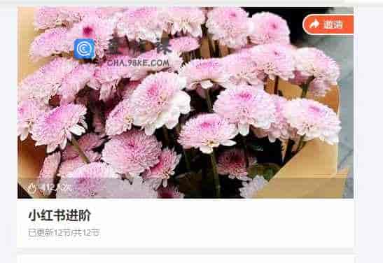 小红书进阶