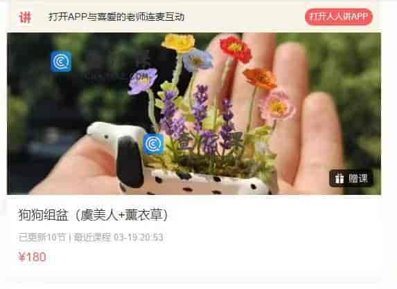 11143  狗狗组盆（虞美人+薰衣草）