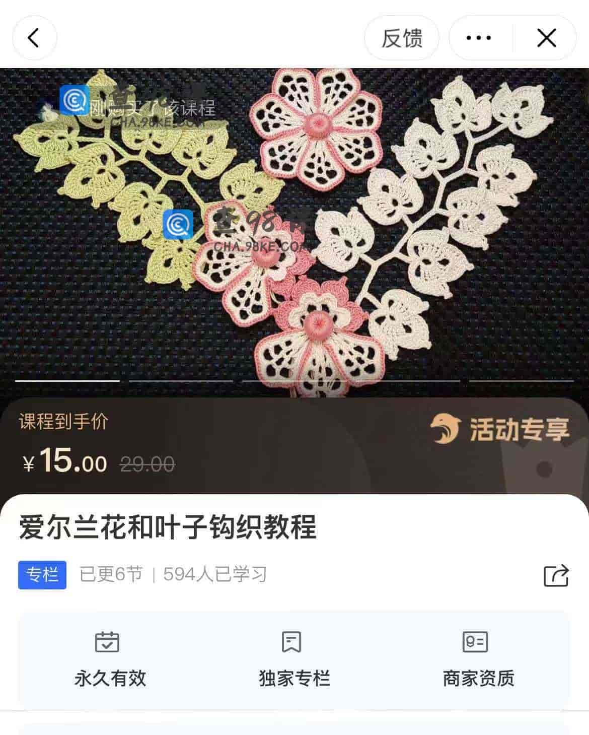 11165  爱尔兰花和叶子钩织教程