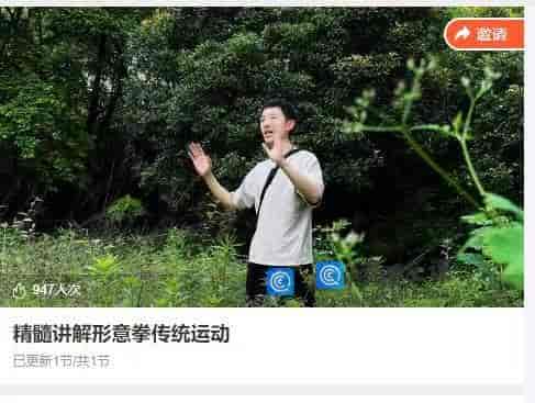 10959  精髓讲解形意拳传统运动