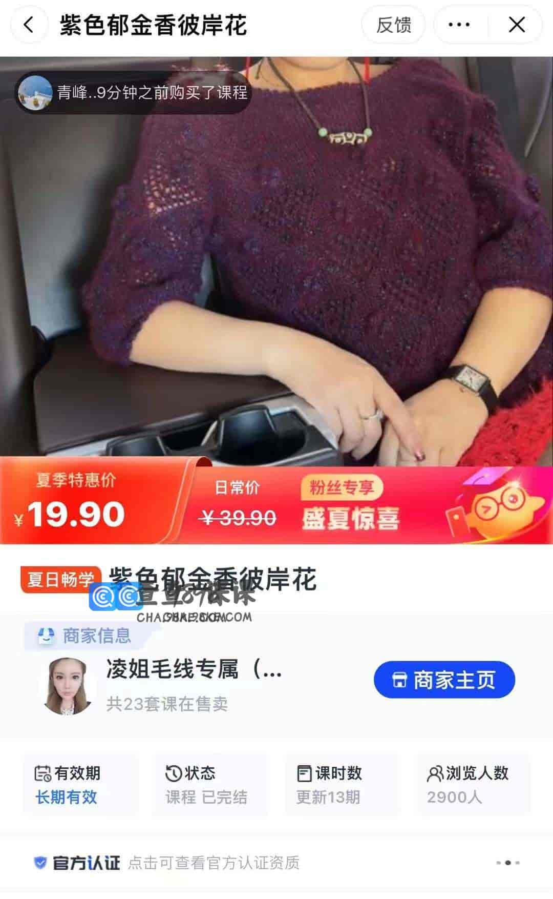 11070   紫色郁金香彼岸花