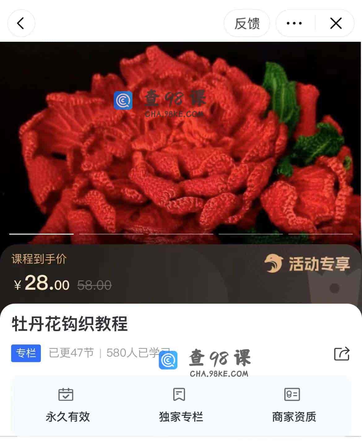 11316  牡丹花钩织教程