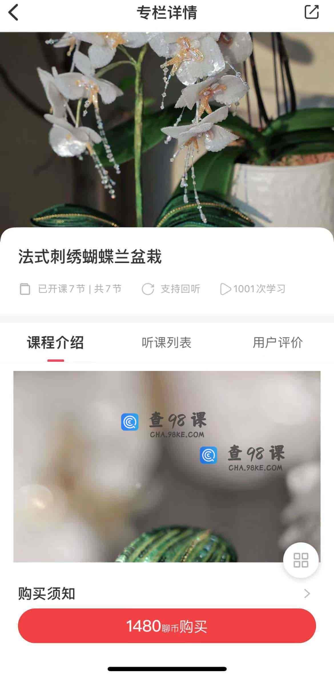 11176  法式刺绣蝴蝶兰盆栽
