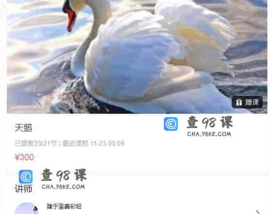 11355  天鹅