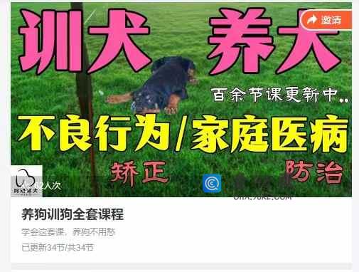 养狗训狗全套课程