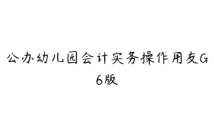 公办幼儿园会计实务操作用友G6版