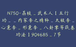 N750-荔枝_武术人【五行功__内家拳之精粹_太极拳_心意拳_形意拳_八卦掌等筑基功法】904685_7节