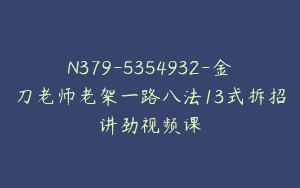 N379-5354932-金刀老师老架一路八法13式拆招讲劲视频课