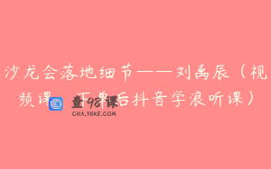 沙龙会落地细节——刘禹辰（视频课，下单后抖音学浪听课）