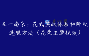 五一南京：花式实战体系和阶段选股方法（花荣主题视频）