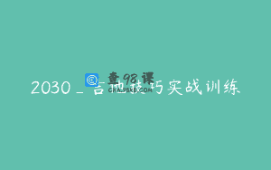 2030_吉他技巧实战训练