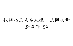 扶阳功王战军太极--扶阳功全套课件-54