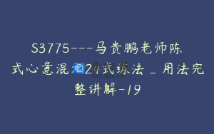 S3775---马贵鹏老师陈式心意混元24式练法_用法完整讲解-19