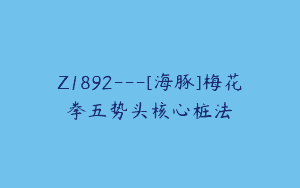 Z1892—[海豚]梅花拳五势头核心桩法