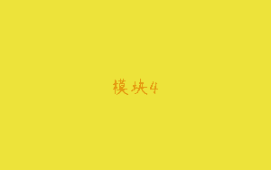 模块4