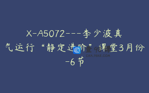 X-A5072---李少波真气运行“静定进阶”课堂3月份-6节