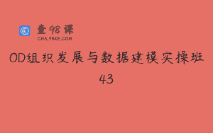 OD组织发展与数据建模实操班43