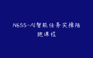 N655-AI智能任务实操陪跑课程