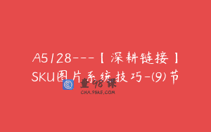 A5128—【深耕链接】SKU图片系统技巧-(9)节