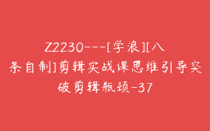 Z2230---[学浪][八条自制]剪辑实战课思维引导突破剪辑瓶颈-37