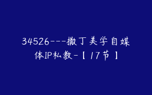 34526---撒丁美学自媒体IP私教-【17节】