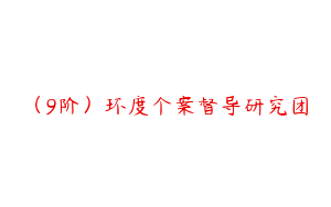（9阶）环度个案督导研究团