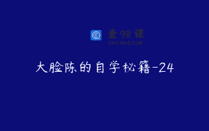 大脸陈的自学秘籍-24