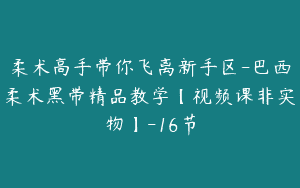 柔术高手带你飞离新手区-巴西柔术黑带精品教学【视频课非实物】-16节