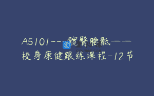 A5101—髋臀腰骶——校身康健跟练课程-12节