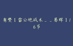 有赞【雷公炮战术__易辉】16节