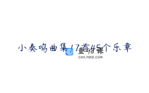 小奏鸣曲集17首45个乐章
