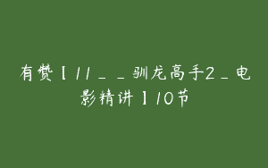 有赞【11__驯龙高手2_电影精讲】10节