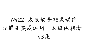 N422-太极散手48式动作分解及实战运用_太极陈相海_43集