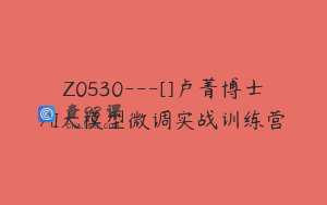 Z0530---[]卢菁博士AI大模型微调实战训练营
