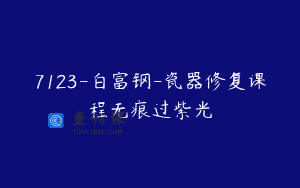 7123-白富钢-瓷器修复课程无痕过紫光