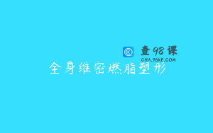全身维密燃脂塑形