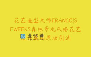 花艺造型大师FRANCOISEWEEKS森林景观风格花艺设计美国原版引进