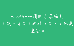 A1535—团购专享福利《定目标》《追过程》《团队复盘法》