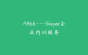 A966—Shopee企业内训服务