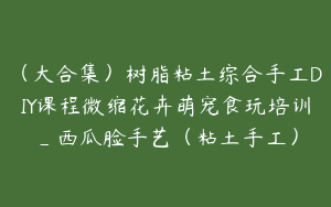 （大合集）树脂粘土综合手工DIY课程微缩花卉萌宠食玩培训_西瓜脸手艺（粘土手工）